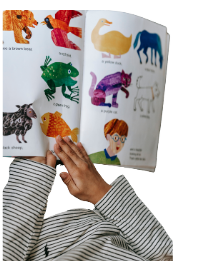image of a child's hands holding open a book with colourful animal pictures